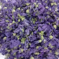 پخش عمده چای کوهی و گل سرخ مربایی وبرگ زیتون وغیره|خوردنی و آشامیدنی|تهران, تهرانسر شرقی|دیوار