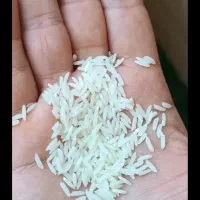 برنج هاشمی درجه یک