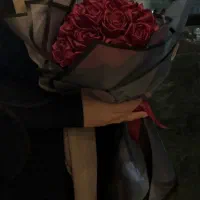 کل رز روبانی