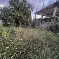 فروش ویژه* 275مترمسکونی در زیباکنار با نامه بنیاد