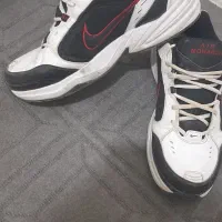 کفش اصلی درحدنو|کیف، کفش، کمربند|سنندج, |دیوار