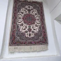 تک زرع و نیم