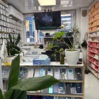 کارشناس سئو و برنامه نویس و طراح سایت