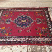 قالی محلی|فرش|سیرجان, |دیوار