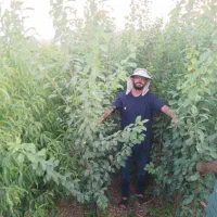 نهالستان نهال شناسنامه دار