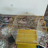 قفس|لوازم جانبی حیوانات|شیراز, غدیر جنوبی|دیوار
