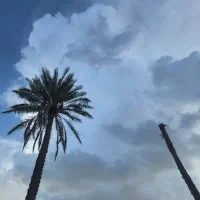 فروش اب و زمین کشاورزی