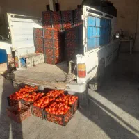 نیسان دوگانه فابریک مدل85|خودرو سواری و وانت|داران, |دیوار