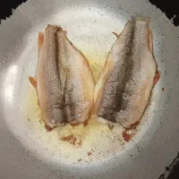 بالیخ|ماهی|میانه, |دیوار