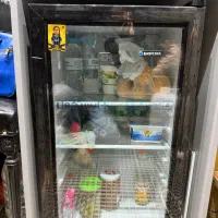 بخچال بار 5فوت ایستکول