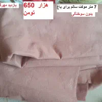 فرش 6 متری زرشکی وفرش 6 متر کارکرده وموکت برای باغ|فرش|قزوین, |دیوار