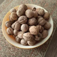 گردو بدون پوکی