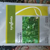 بذر دیلاکس اصلی 500تایی فروش فوری