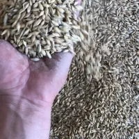 خوراک دام|عمده‌فروشی|زرین آباد, |دیوار