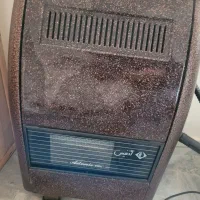 بخاری ادنیس