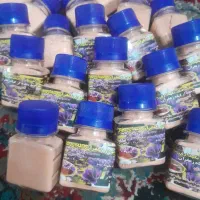 انواع خوردنی