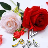 مدارکم‌ گم شده به نام تراب منصوری مژدگانی دادمیشه