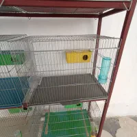 فروش قفس و طبقه|لوازم جانبی حیوانات|بوشهر, |دیوار