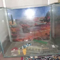 اکواریم سالم