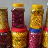 غذاهای خونگی ترشیجات و..|خوردنی و آشامیدنی|تهران, مشیریه|دیوار