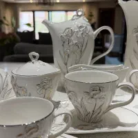 سرویس۱۲نفره چینی ۱۱۵پارچه ورساچه اصل ایتالیایی نو