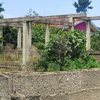 زمین نیمه ساز|فروش زمین و ملک کلنگی|ماکلوان, |دیوار