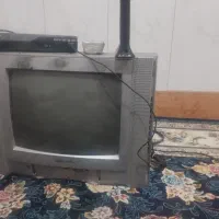 تلویزیون