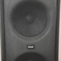 اسپیکر شارژی برادو