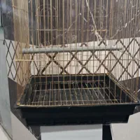 دوتا قفس طوطی بزرگ و کوچک