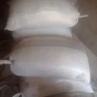 شالی