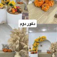 عکاسی یلدا و زمستانی|خدمات پذیرایی، مراسم|قم, شهرک قدس|دیوار