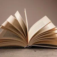 کتاب 1984، عصیانگر، کتابخانه نیمه‌شب و تعدادی دیگر
