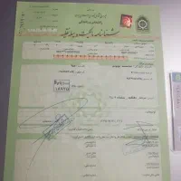 مدارک پیدا شده