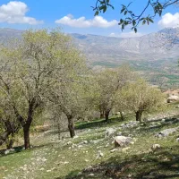 کارگر افغانی برای شهرستان