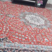 فرش|فرش|دره شهر, |دیوار