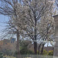 مفقودی