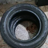 لاستیک پراید|قطعات یدکی و لوازم جانبی|اسلام‌شهر, شهرک امام حسین (میان آباد)|دیوار