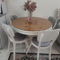 میزناهارخوری ۴نفره درحدنو