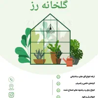 آفر ویژه طراحی پوستر و بنر لوگو آگهی ترحیم کارت|خدمات رایانه‌ای و موبایل|تهران, امام حسین|دیوار