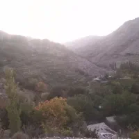 گردو کشمش عمده و جزئی|عمده‌فروشی|شیروان (خراسان), |دیوار