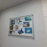 درخواست حسابدار آقا یا خانم