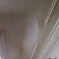 گچکاری و لکه گیری|خدمات پیشه و مهارت|بم, |دیوار