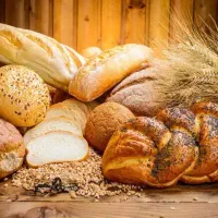 (نانوایی) و (خدمه نظافتی) تولیدی ساندویچ