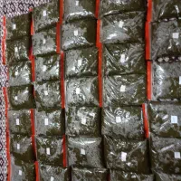 سبزی خورشتی و سبزی ماهی  و  سبزی  آشی  و شوید