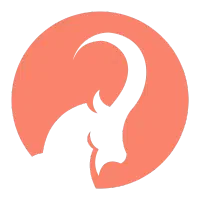 جذب صندوق دار در مجموعه ونوس