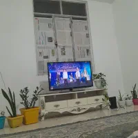جفت پشتی