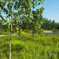 فروش نقدی و معاوضه زمین با خودرو افرودی یا اتومات