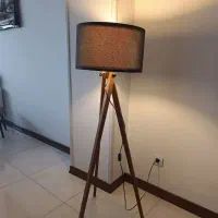 آباژور ایستاده