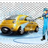 نیرو کارواش