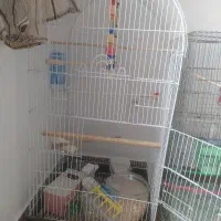 دوتاقفس بزرگ پرنده با لوازم کامل